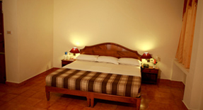 hotel-jasmine-palace-kovalam-kerala-india-accommodation