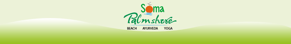 palmshore-beach-resort-kovalam-kerala-india-title