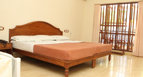 hotel-jasmine-palace-kovalam-kerala-india-facilities-image