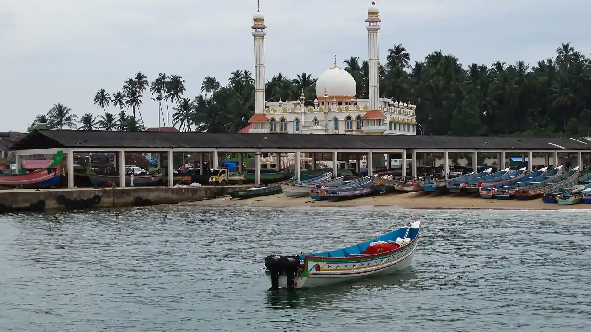 Blue traditional fishing boat on calm coastal waters with palm trees along the Vizhinjam shoreline