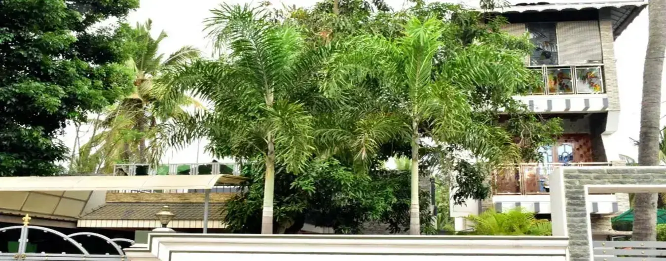 Exterior view of Mary Land Homestay property with green palm trees in Kovalam