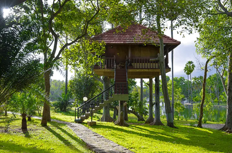 Unique wooden treehouse cottage surrounded by lush greenery at Isola Di Cocco Ayurvedic Resort
