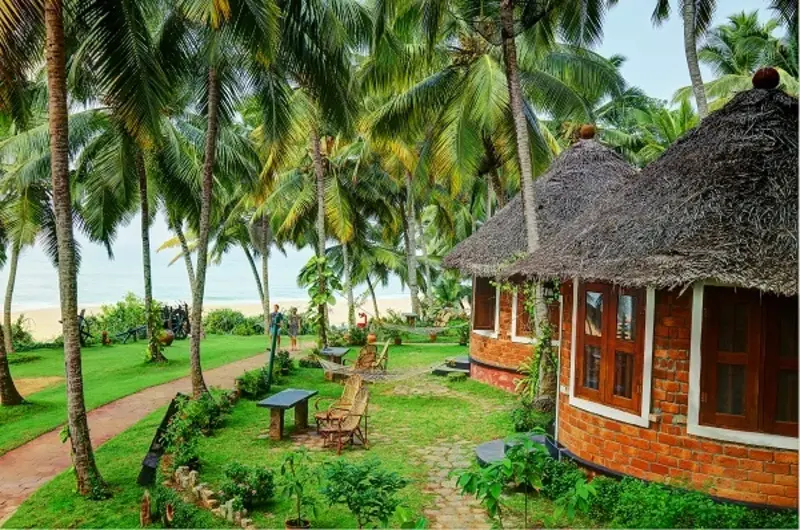 Traditional eco friendly heritage cottages with thatched roofs at Soma Manaltheeram Ayurvedic Hospital & Research Centre