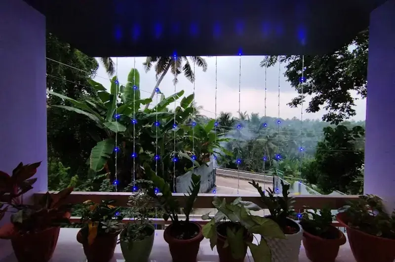 Open-air rooftop terrace sitting area surrounded by potted plants at dusk at Greenview Homestay Kovalam.